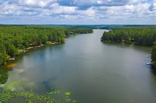 897 Edisto Lake Rd, Wagener, SC 29164 - Photo 53