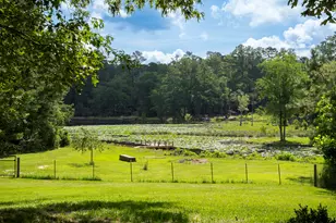 897 Edisto Lake Rd, Wagener, SC 29164 - Photo 33