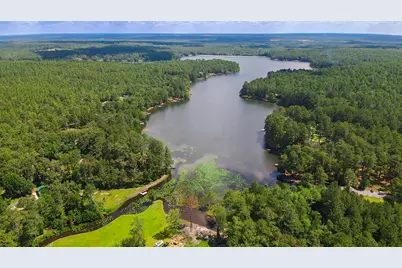 897 Edisto Lake Road, Wagener, SC 29164 - Photo 3