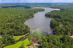 897 Edisto Lake Rd, Wagener, SC 29164 - Photo 3