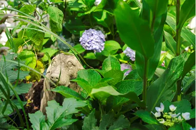 129 Colleton Avenue SW, Aiken, SC 29801 - Photo 55