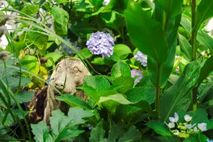 129 Colleton Ave SW, Aiken, SC 29801 - Photo 55