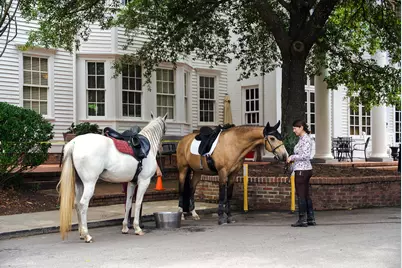 129 Colleton Avenue SW, Aiken, SC 29801 - Photo 69