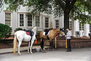 129 Colleton Ave SW, Aiken, SC 29801 - Photo 69