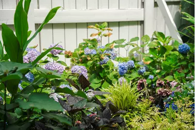 129 Colleton Avenue SW, Aiken, SC 29801 - Photo 53