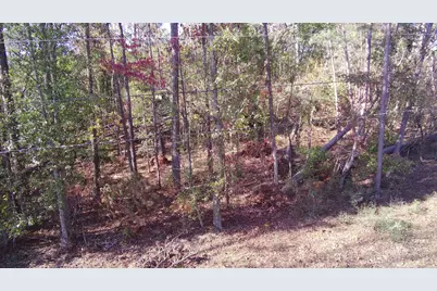 Xx Sertoma Drive, Johnston, SC 29832 - Photo 9