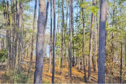 305 Kingfisher Point, Mc Cormick, SC 29835 - Photo 39