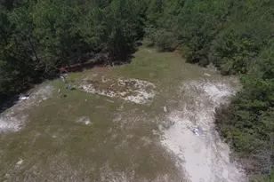 20 Blackberry Ln, Trenton, SC 29847 - Photo 5