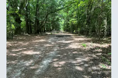 1114 Lott Bluff Road, Blackville, SC 29817 - Photo 85