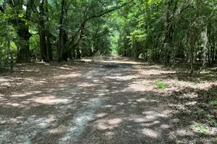 1114 Lott Bluff Rd, Blackville, SC 29817 - Photo 85