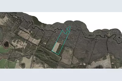 1114 Lott Bluff Road, Blackville, SC 29817 - Photo 125