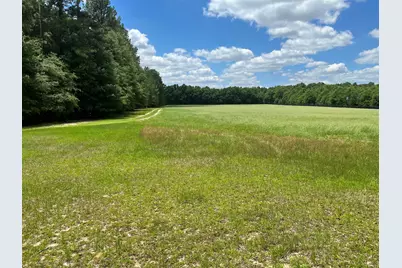 1114 Lott Bluff Road, Blackville, SC 29817 - Photo 119