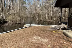 1114 Lott Bluff Rd, Blackville, SC 29817 - Photo 143