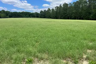 1114 Lott Bluff Rd, Blackville, SC 29817 - Photo 121