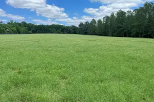 1114 Lott Bluff Rd, Blackville, SC 29817 - Photo 87