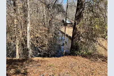 1114 Lott Bluff Road, Blackville, SC 29817 - Photo 149