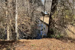 1114 Lott Bluff Rd, Blackville, SC 29817 - Photo 149