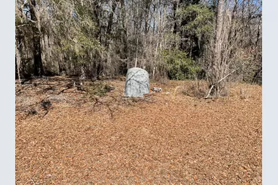 1114 Lott Bluff Road, Blackville, SC 29817 - Photo 155