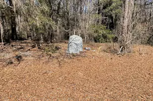 1114 Lott Bluff Rd, Blackville, SC 29817 - Photo 155