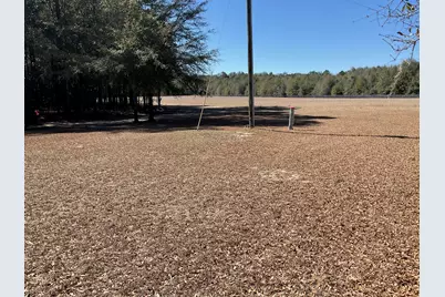 1114 Lott Bluff Road, Blackville, SC 29817 - Photo 153