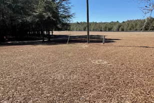 1114 Lott Bluff Rd, Blackville, SC 29817 - Photo 153