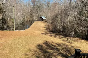 1114 Lott Bluff Rd, Blackville, SC 29817 - Photo 129