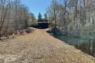 1114 Lott Bluff Rd, Blackville, SC 29817 - Photo 139