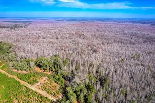 1114 Lott Bluff Rd, Blackville, SC 29817 - Photo 77