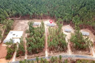 812 White Pond Rd, Williston, SC 29853 - Photo 7