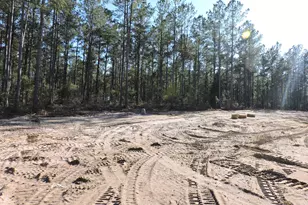 818 White Pond Rd, Williston, SC 29853 - Photo 7