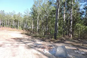 818 White Pond Rd, Williston, SC 29853 - Photo 5