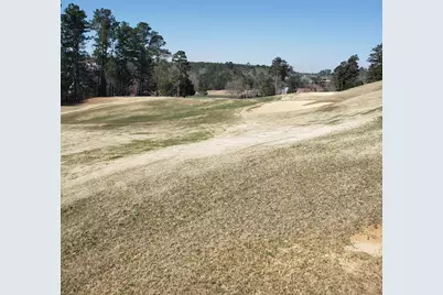 543 W Pleasant Colony Drive #Lot 290, Aiken, SC 29803 - Photo 1