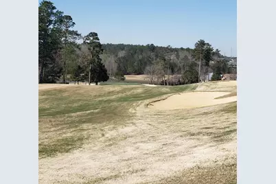 543 W Pleasant Colony Drive #Lot 290, Aiken, SC 29803 - Photo 3