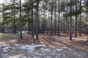 2195 Joyner Pond Rd, Aiken, SC 29803 - Photo 49