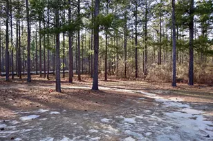 2195 Joyner Pond Rd, Aiken, SC 29803 - Photo 47