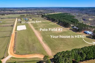 431 Mcintosh Loop, Aiken, SC 29805 - Photo 3