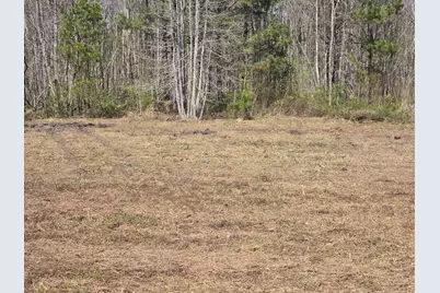 0 Drain Road, Smoaks, SC 29481 - Photo 3