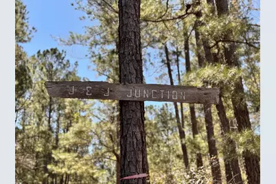 357 Collum Pond Road, Wagener, SC 29164 - Photo 85