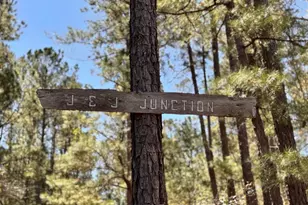 357 Collum Pond Rd, Wagener, SC 29164 - Photo 85