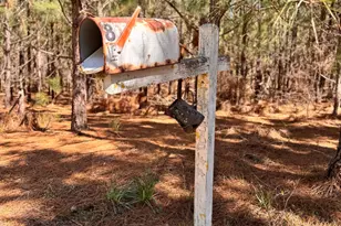 357 Collum Pond Rd, Wagener, SC 29164 - Photo 87