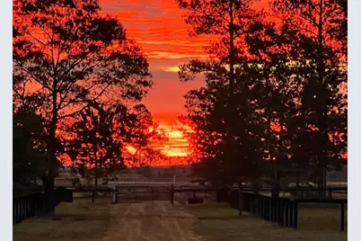 657 Tolt Trail, Aiken, SC 29801 - Photo 51