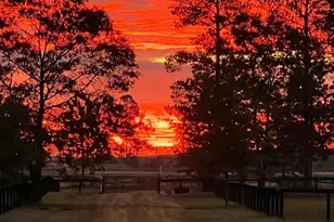 657 Tolt Trl, Aiken, SC 29801 - Photo 51