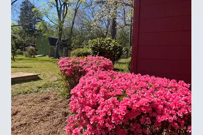 4531 Rosemary Street, Williston, SC 29853 - Photo 39