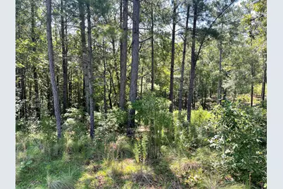 00 Tucker Lane #.92 Acre, Graniteville, SC 29829 - Photo 3