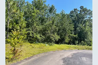 000 Madelyn Drive #1.18 Acre, Burnettown, SC 29829 - Photo 3