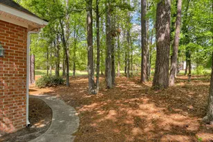 101 Loganberry Ct, Aiken, SC 29803 - Photo 55