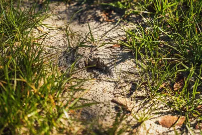 Lot 8 Carillon Court, Aiken, SC 29803 - Photo 29