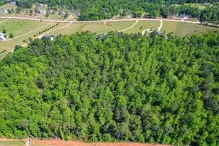 3342 Tom Bartles Rd, Appling, GA 30802 - Photo 63