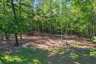 3342 Tom Bartles Rd, Appling, GA 30802 - Photo 65