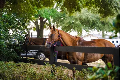 124 Driftwood Circle, Aiken, SC 29801 - Photo 49